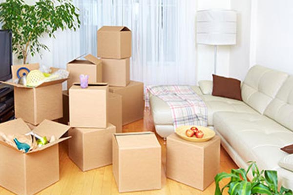 Packers and Movers delhi